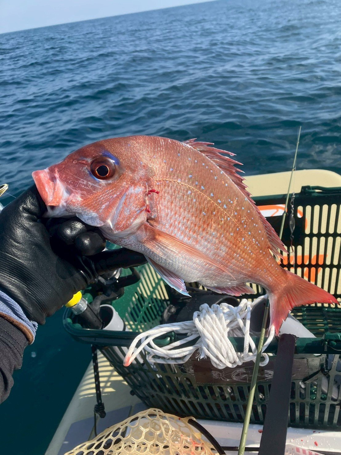 堤防からカゴ釣りで遠投するシルエット